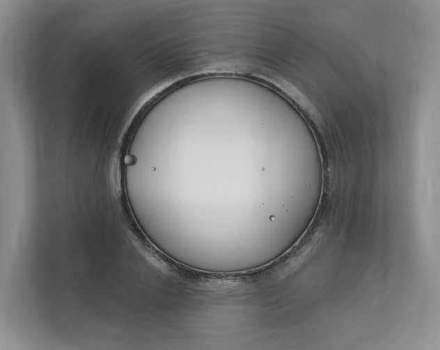 X0000111890838200908061332