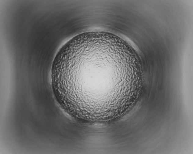 X0000111890839200908061332