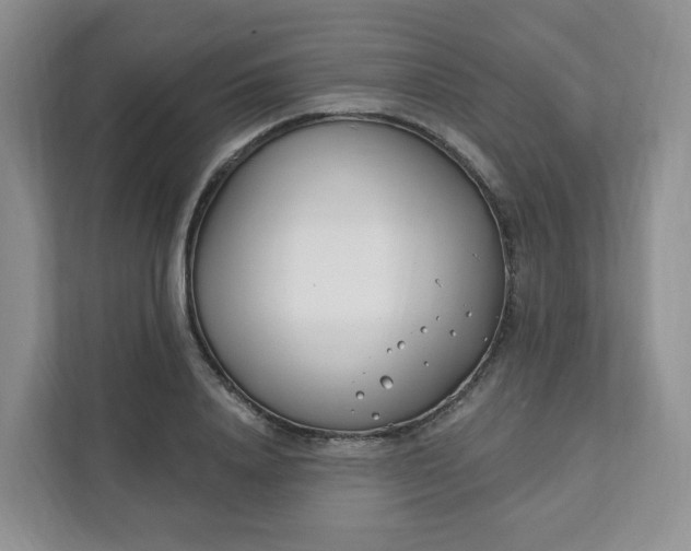 X0000111890840200908061332