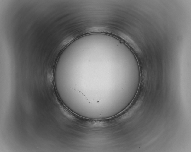 X0000111890841200908061332