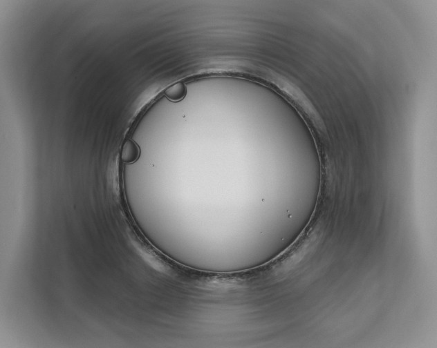 X0000111890842200908061332