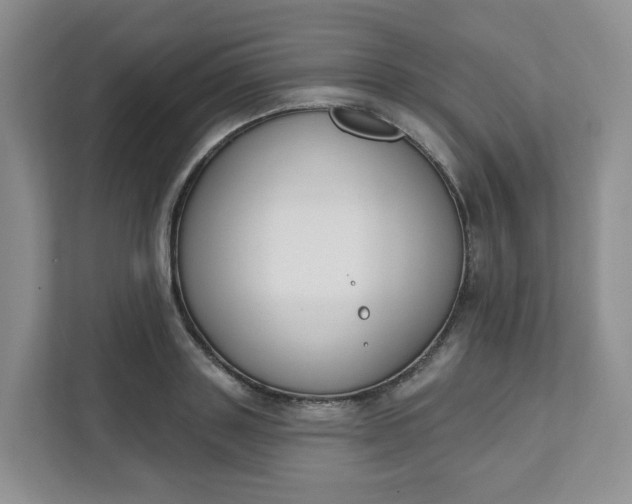 X0000111890843200908061332