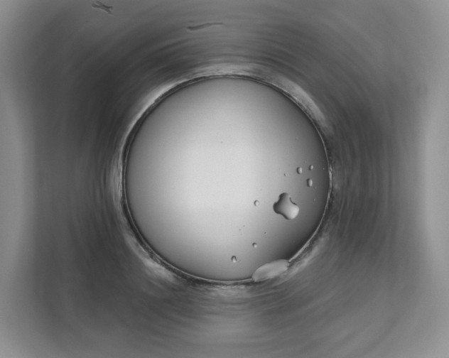 X0000111890844200908061332