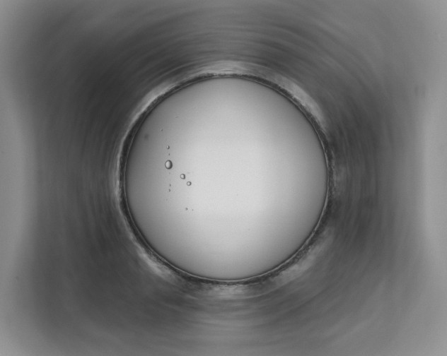 X0000111890845200908061332