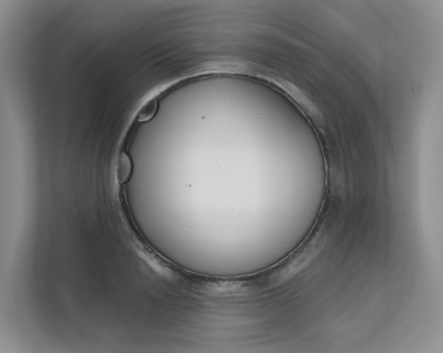 X0000111890846200908061332