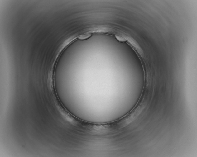 X0000111890850200908061332