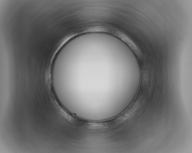 X0000111890852200908061332