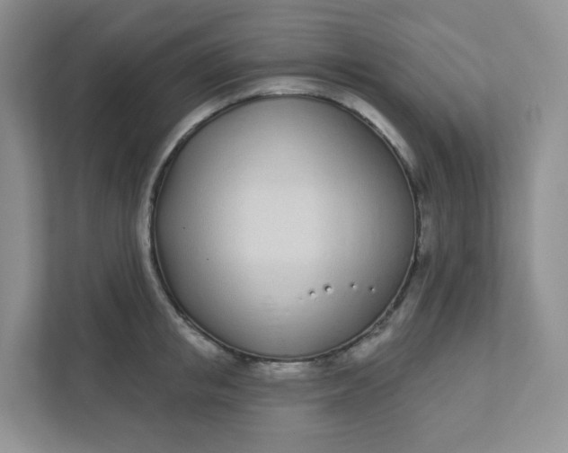 X0000111890853200908061332