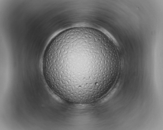 X0000111890854200908061332