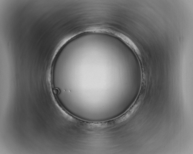 X0000111890855200908061332