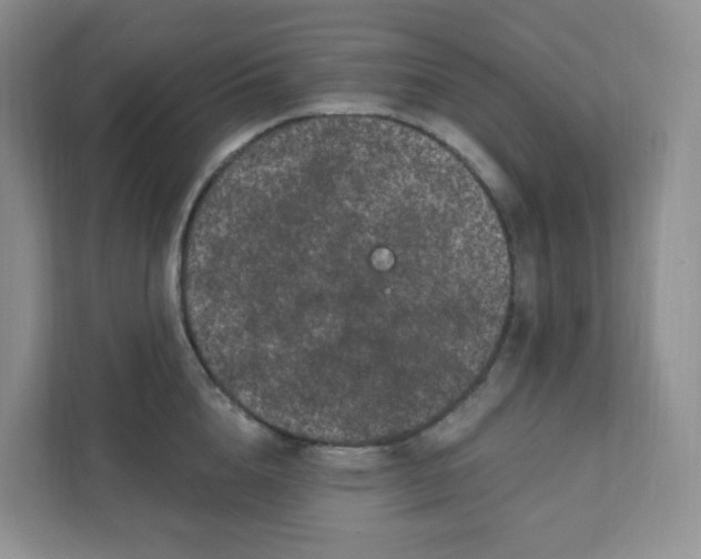 X0000111890856200908061332