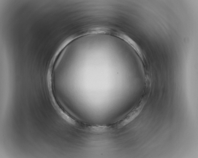 X0000111890859200908061332