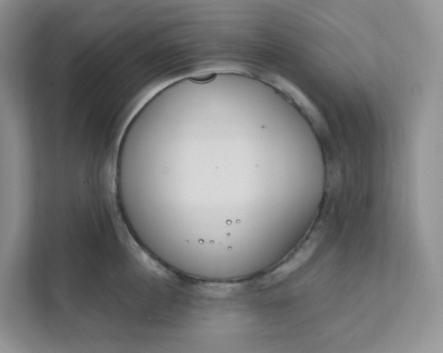 X0000111890860200908061332