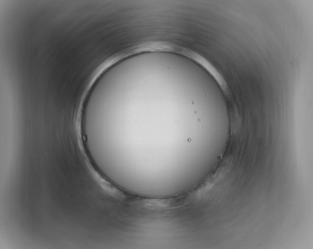 X0000111890861200908061332