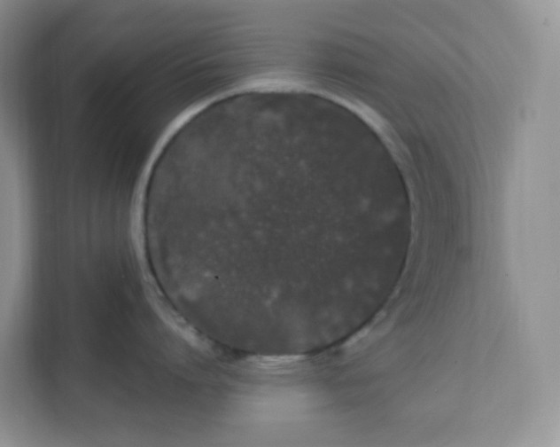 X0000111890864200908061332