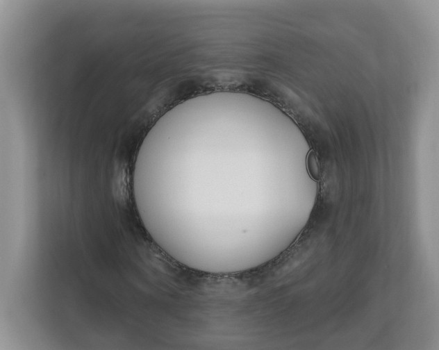 X0000111890866200908061332