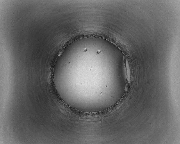 X0000111890868200908061332