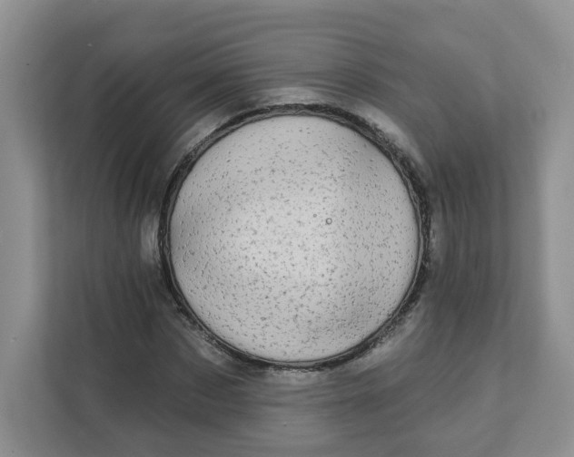 X0000111890873200908061332