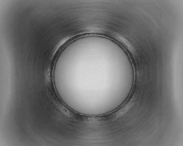 X0000111890875200908061332