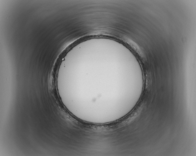 X0000111890876200908061332