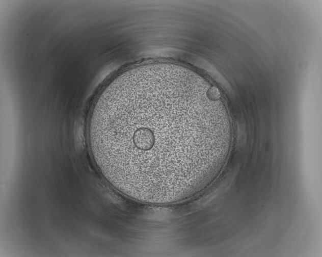 X0000111890878200908061332