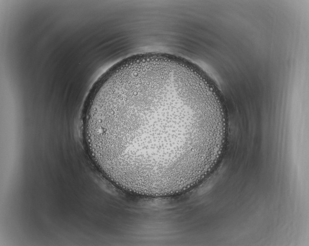 X0000111890879200908061332