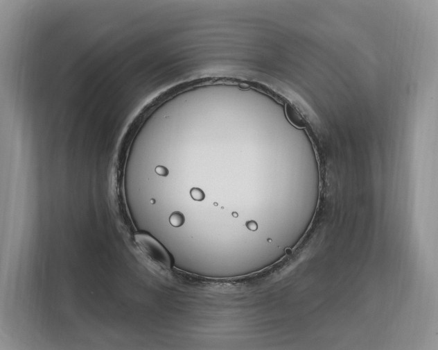 X0000111890880200908061332