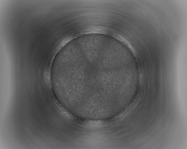 X0000111890882200908061332