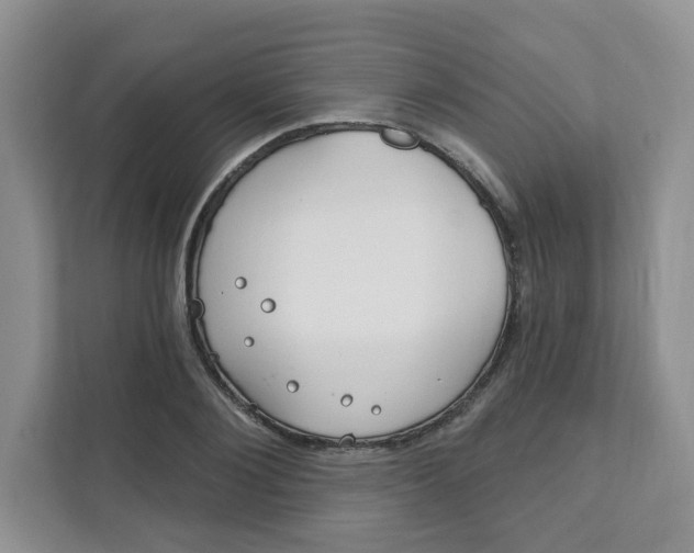 X0000111890884200908061332