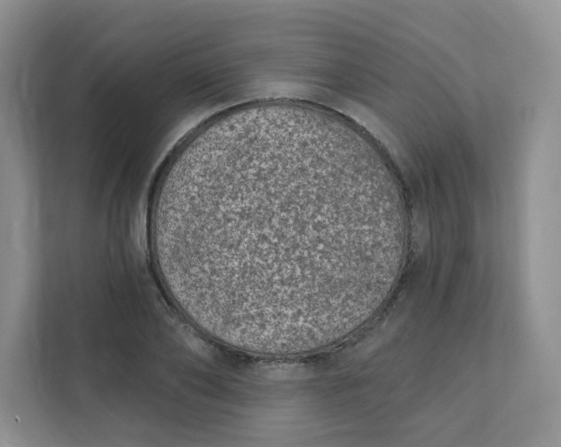 X0000111890886200908061332