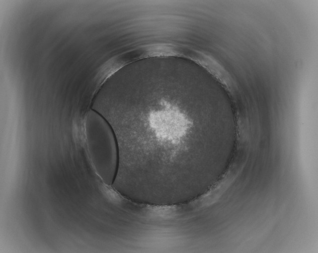 X0000111890889200908061332