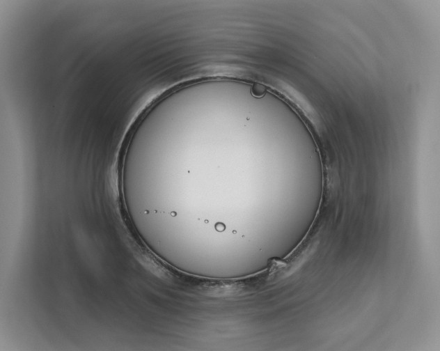 X0000111890891200908061331