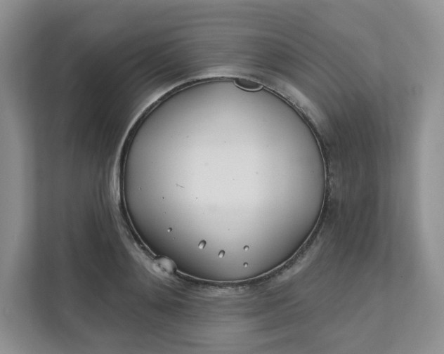 X0000111890892200908061331