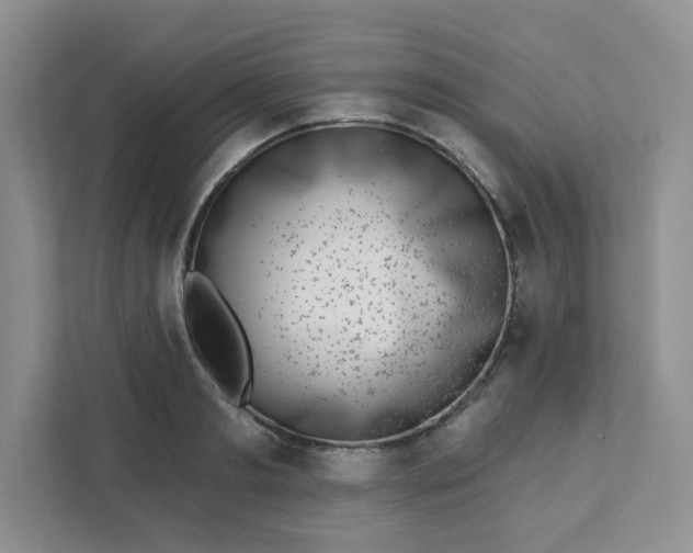 X0000111890893200908061331