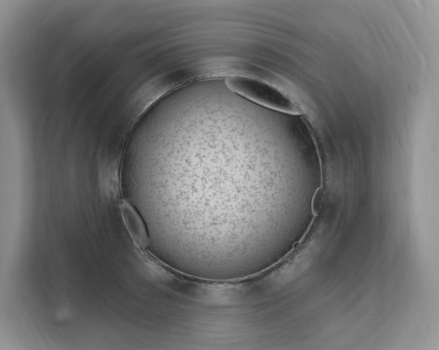 X0000111890897200908061331