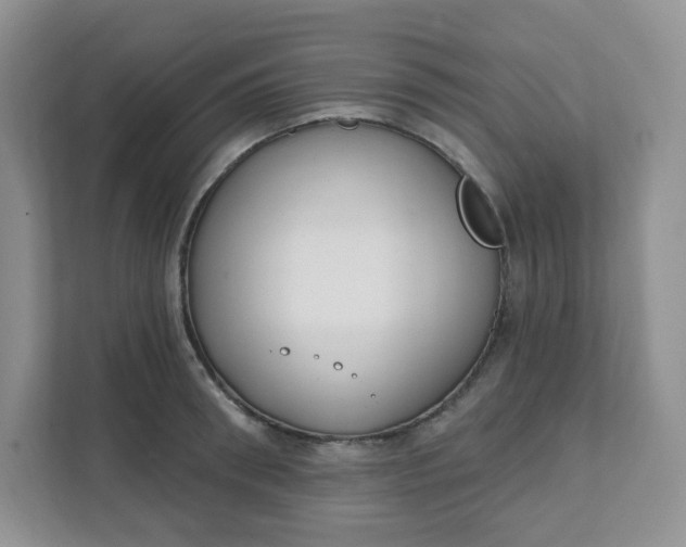 X0000111890898200908061331