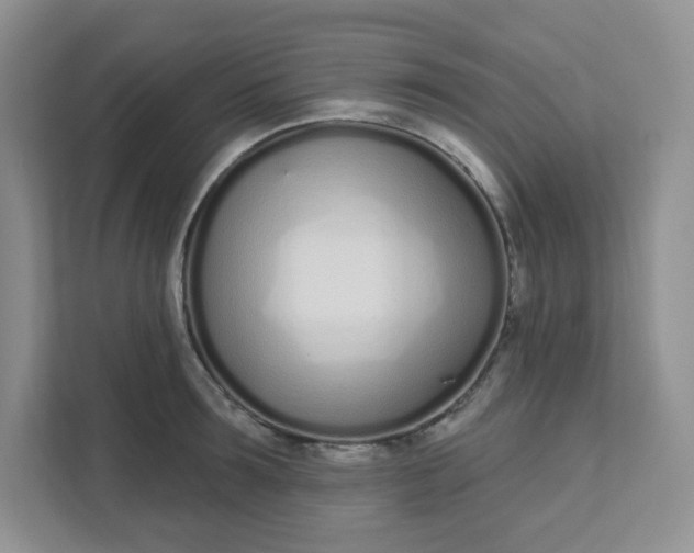 X0000111890899200908061331