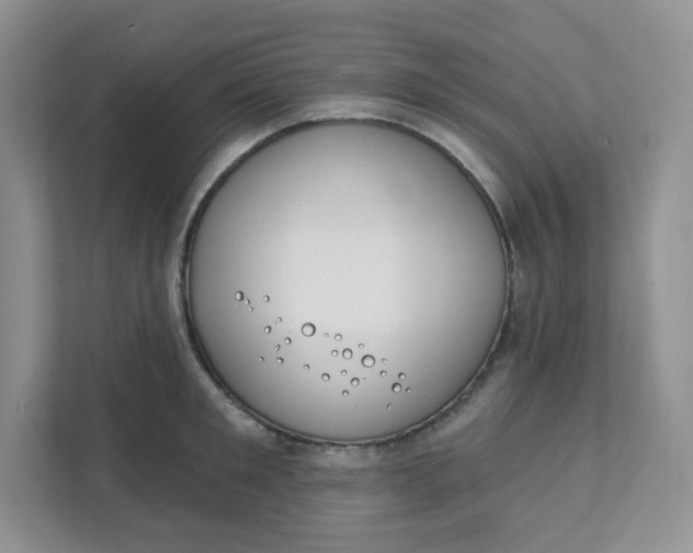 X0000111890901200908061331