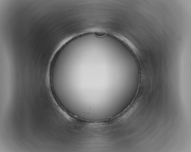 X0000111890902200908061331