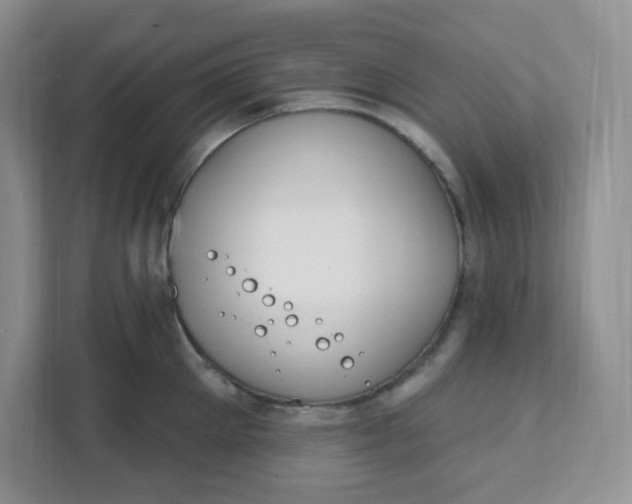 X0000111890905200908061331