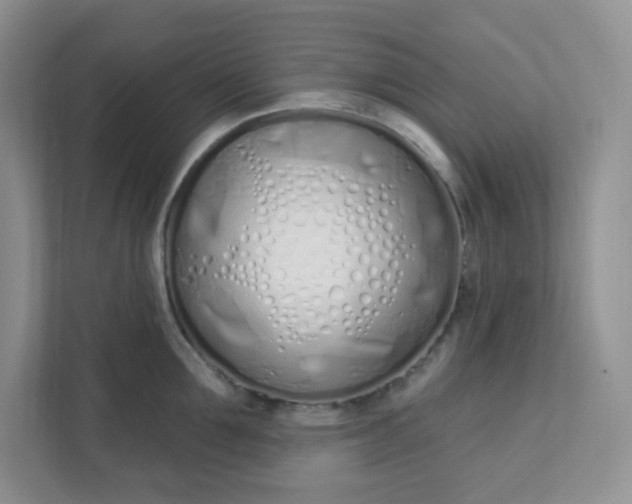 X0000111890907200908061331