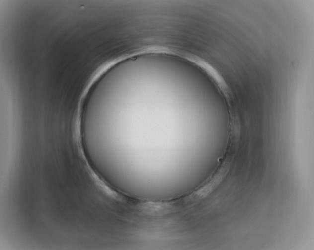 X0000111890910200908061331