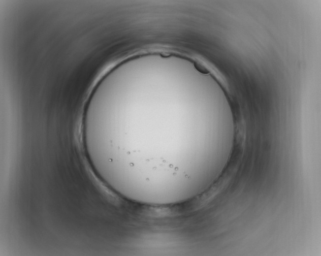 X0000111890911200908061331