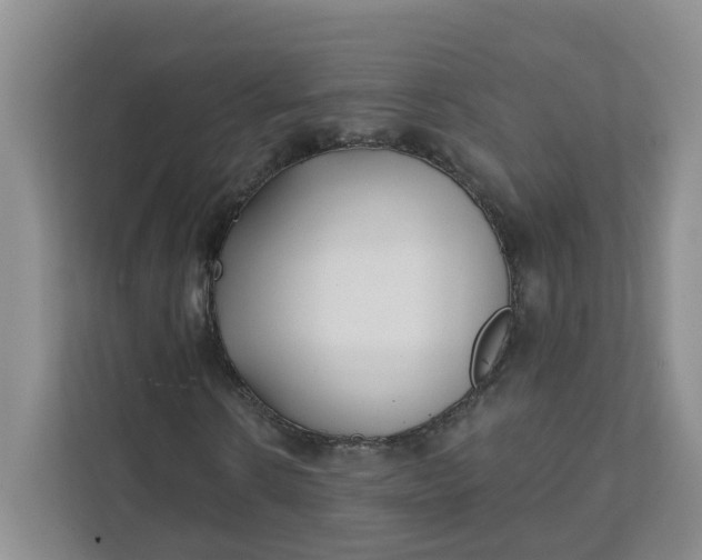 X0000111890914200908061331