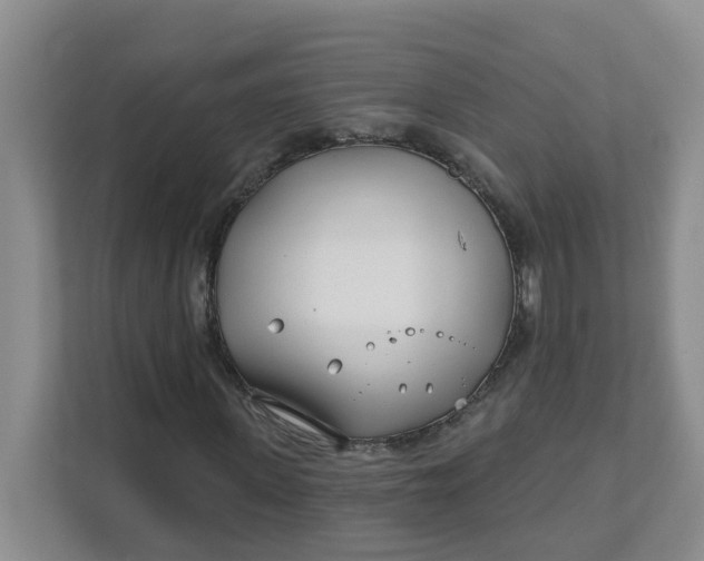 X0000111890915200908061331