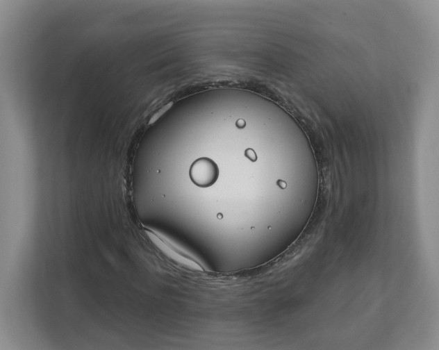 X0000111890916200908061331