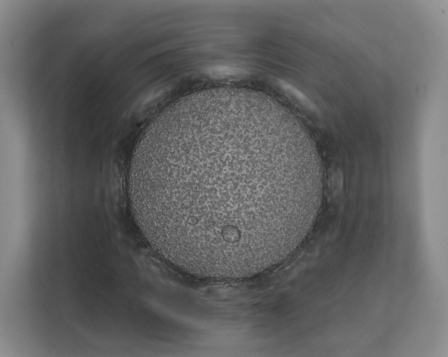 X0000111890917200908061331