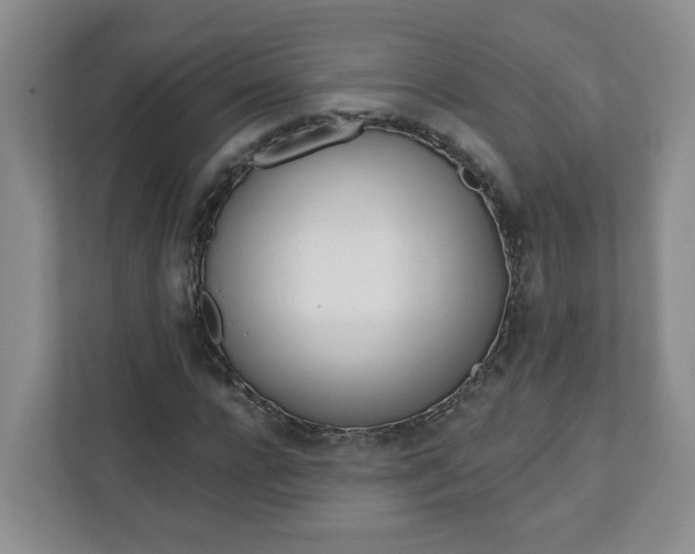 X0000111890920200908061331