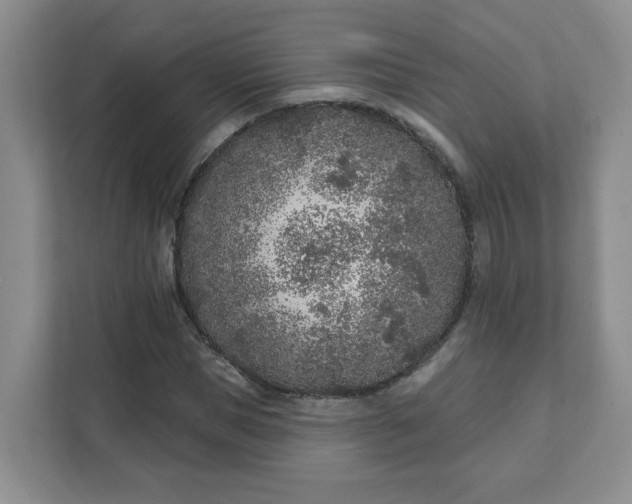 X0000111890921200908061331