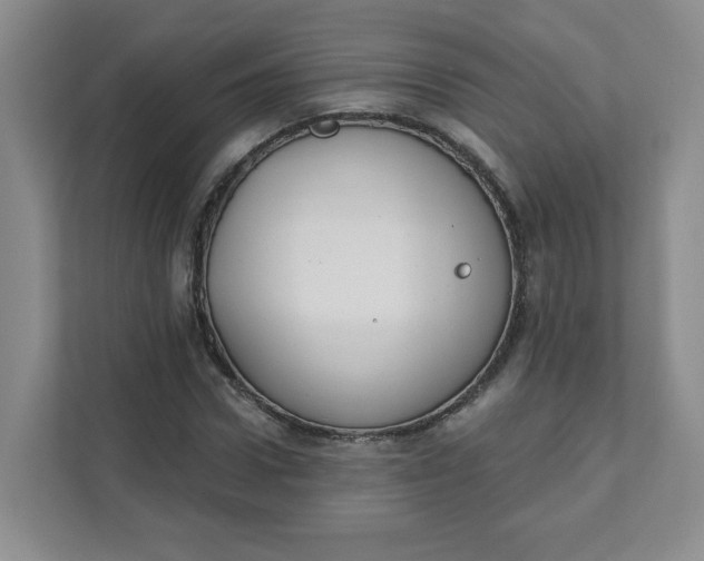 X0000111890922200908061331